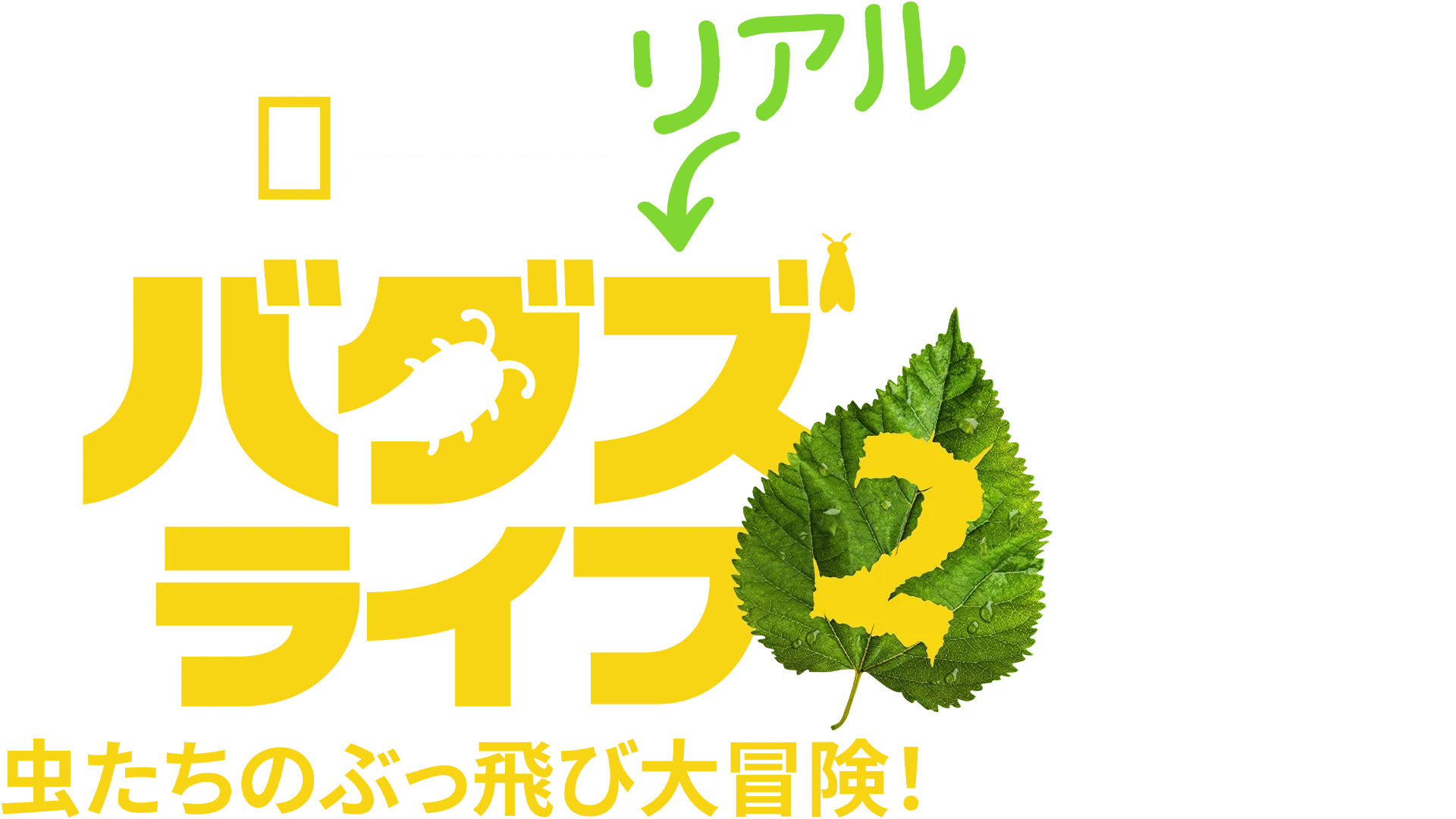 リアル・バグズ・ライフ：虫たちのぶっ飛び大冒険！