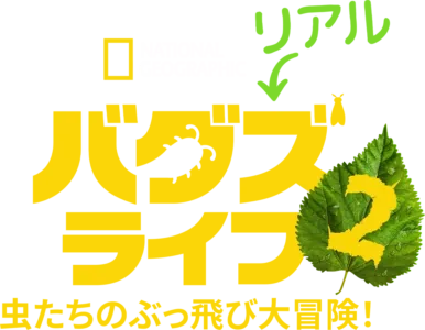 リアル・バグズ・ライフ：虫たちのぶっ飛び大冒険！