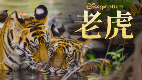 thumbnail - 老虎