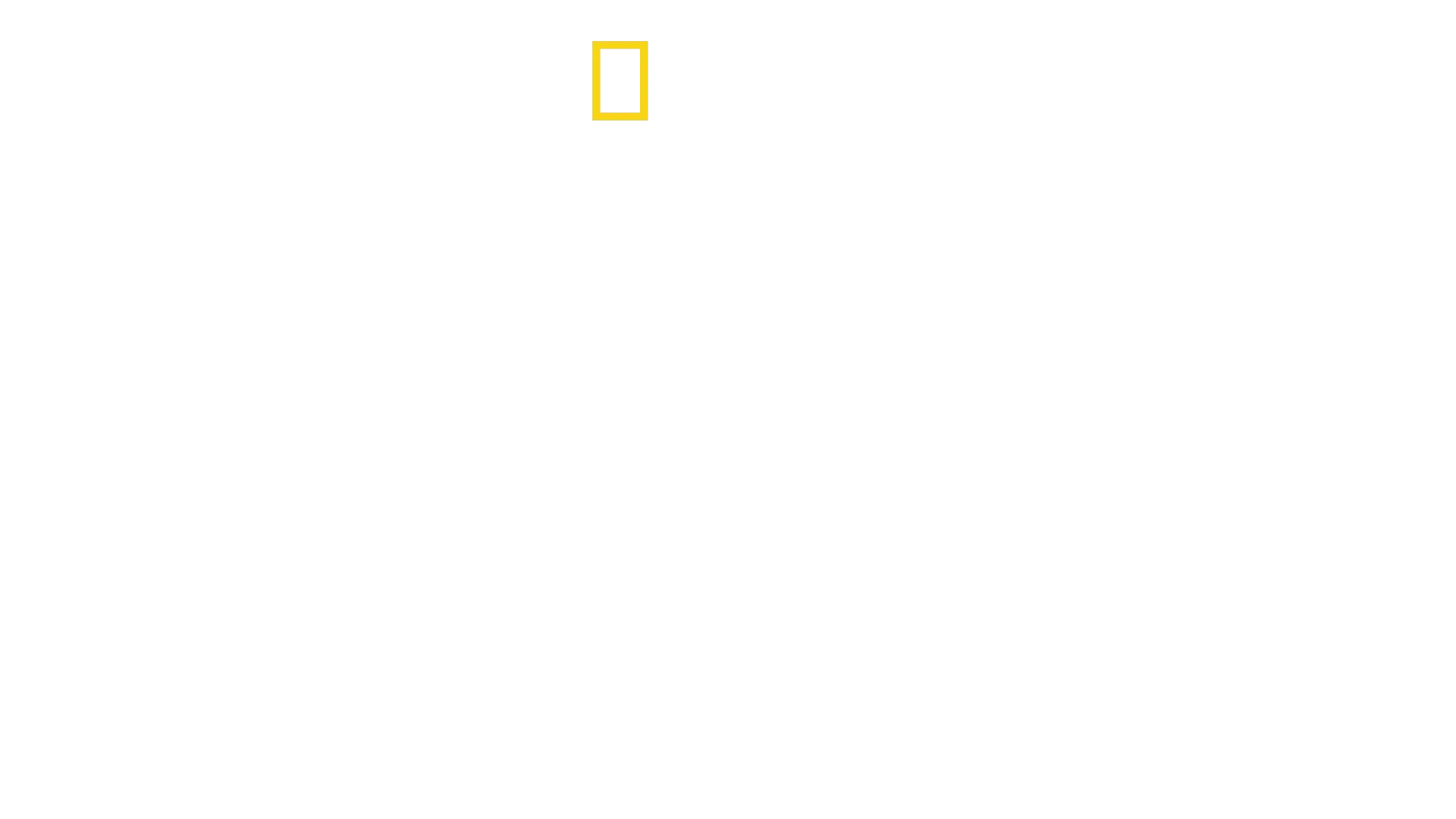 Egypt's Treasure Guardians