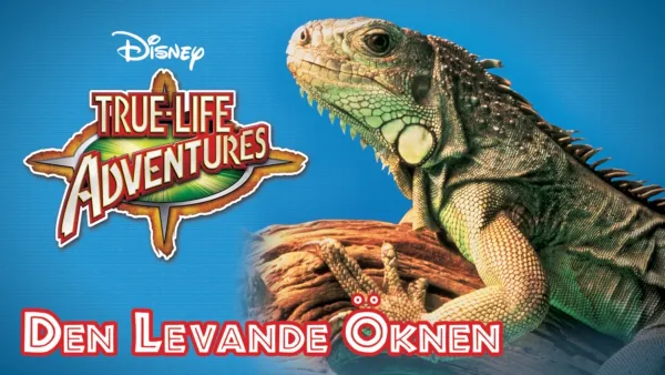 thumbnail - Den levande öknen