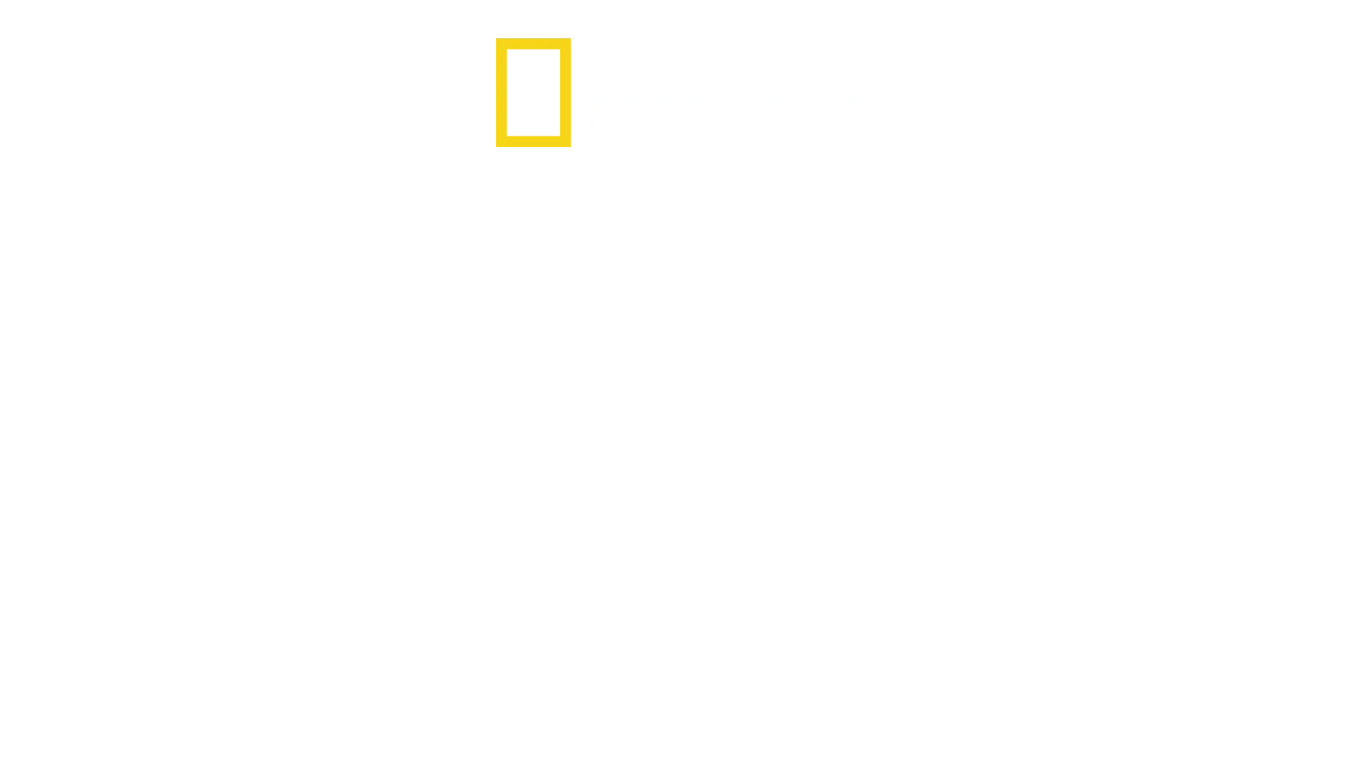 Kaptan Cousteau