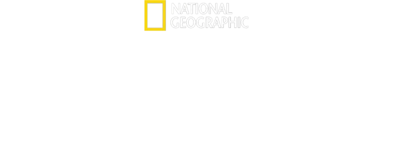 İyilik Mutfağı
