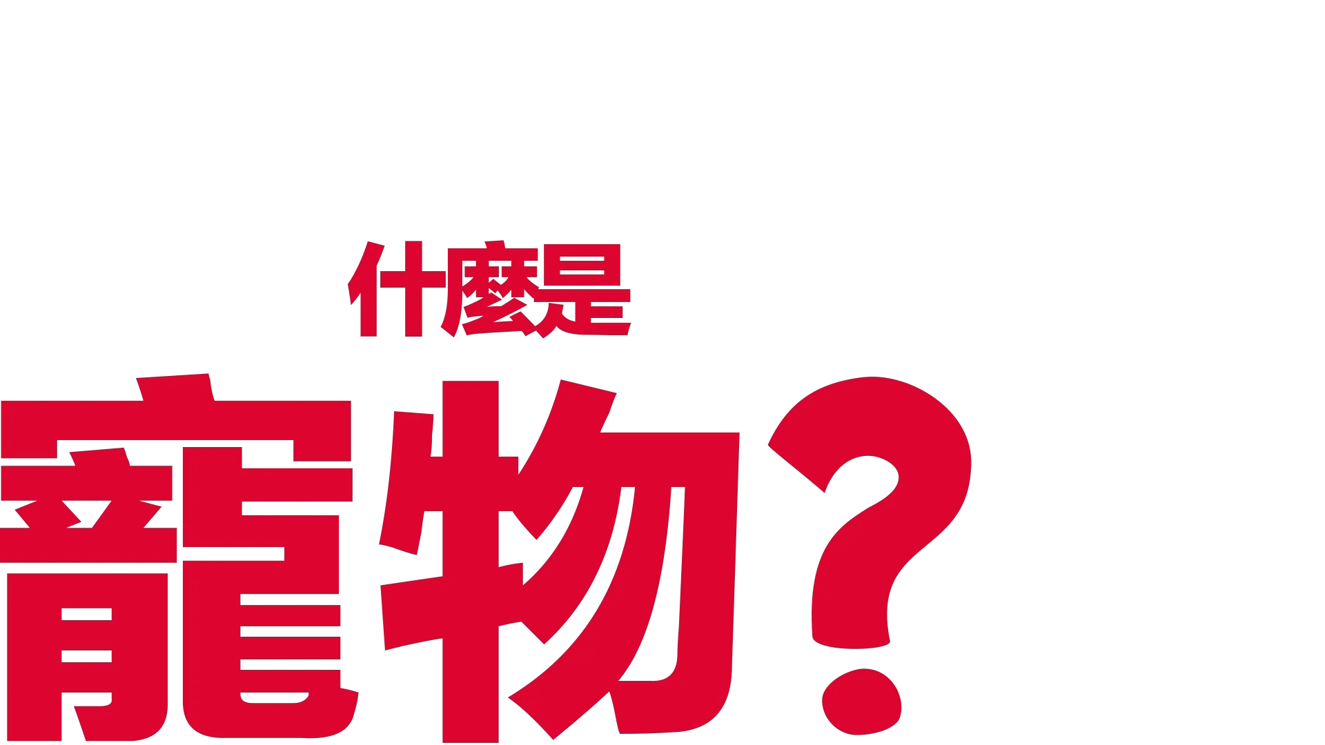 什麼是寵物？