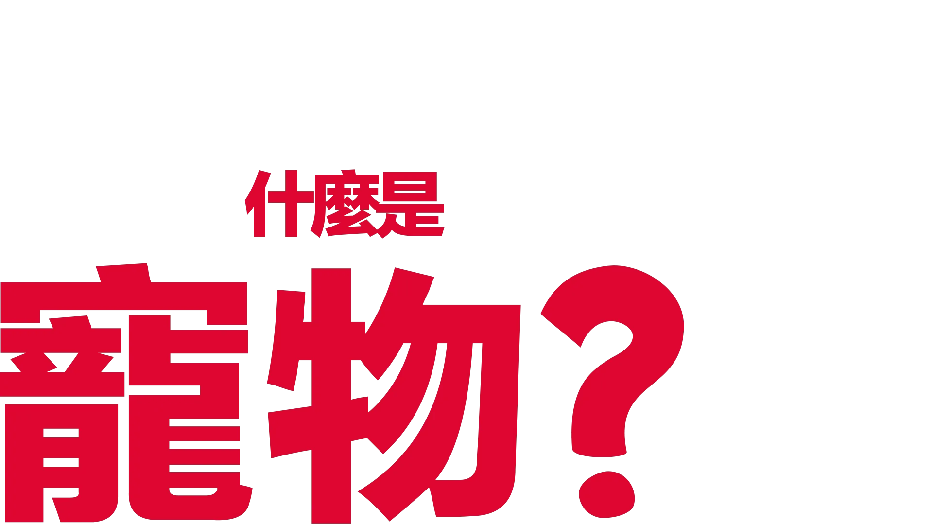 什麼是寵物？