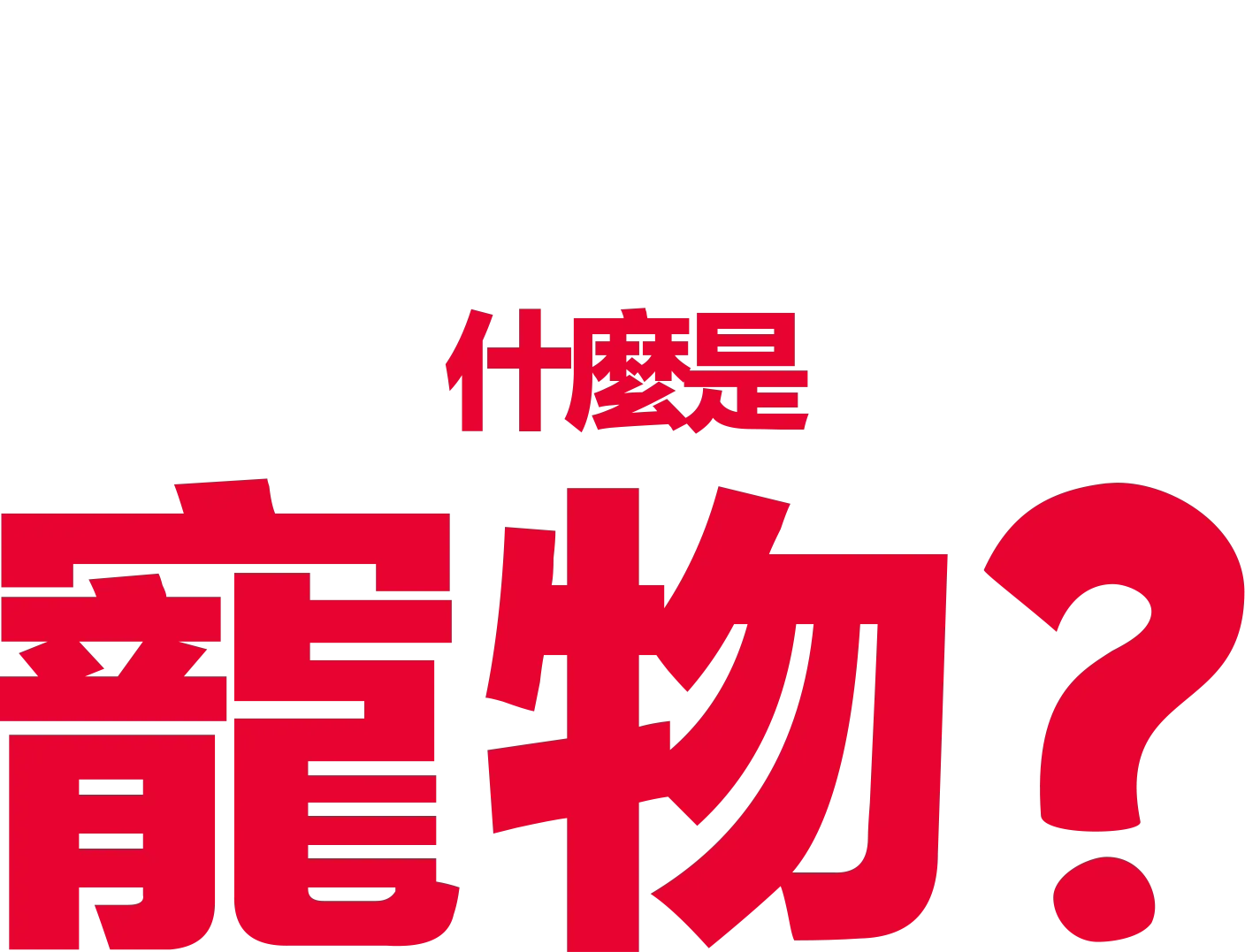 什麼是寵物？