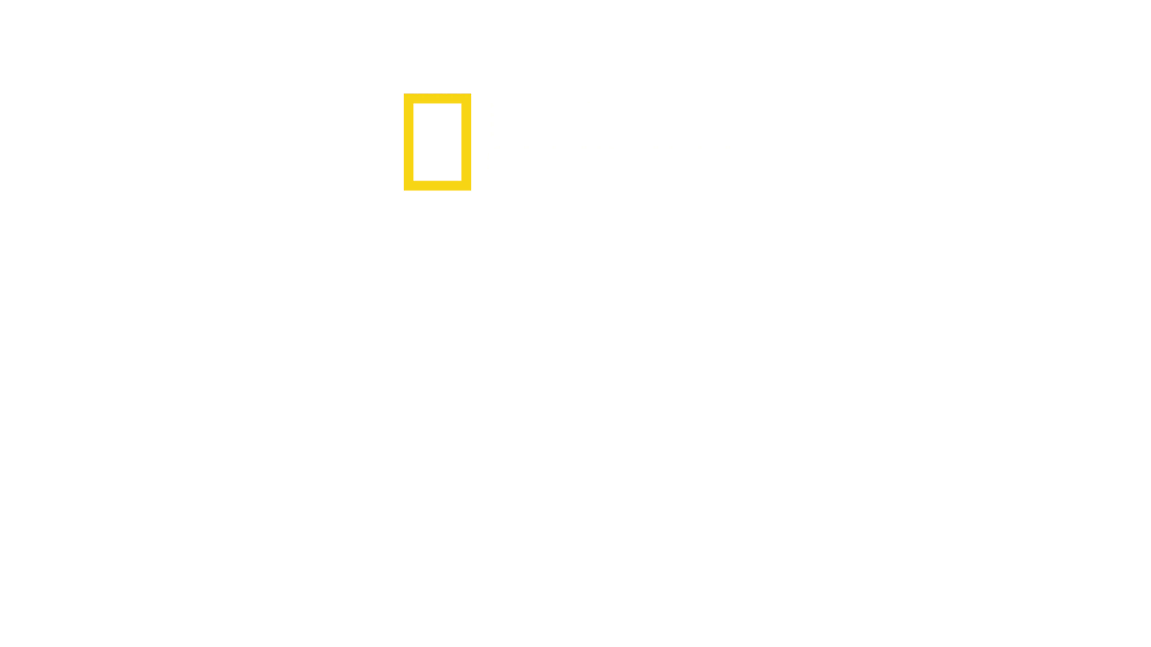 Toți pentru unul