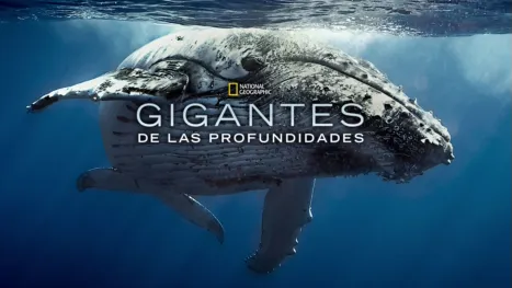 thumbnail - Gigantes de las profundidades