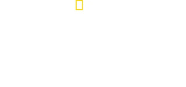 Bobi Wine: Halkın Başkanı