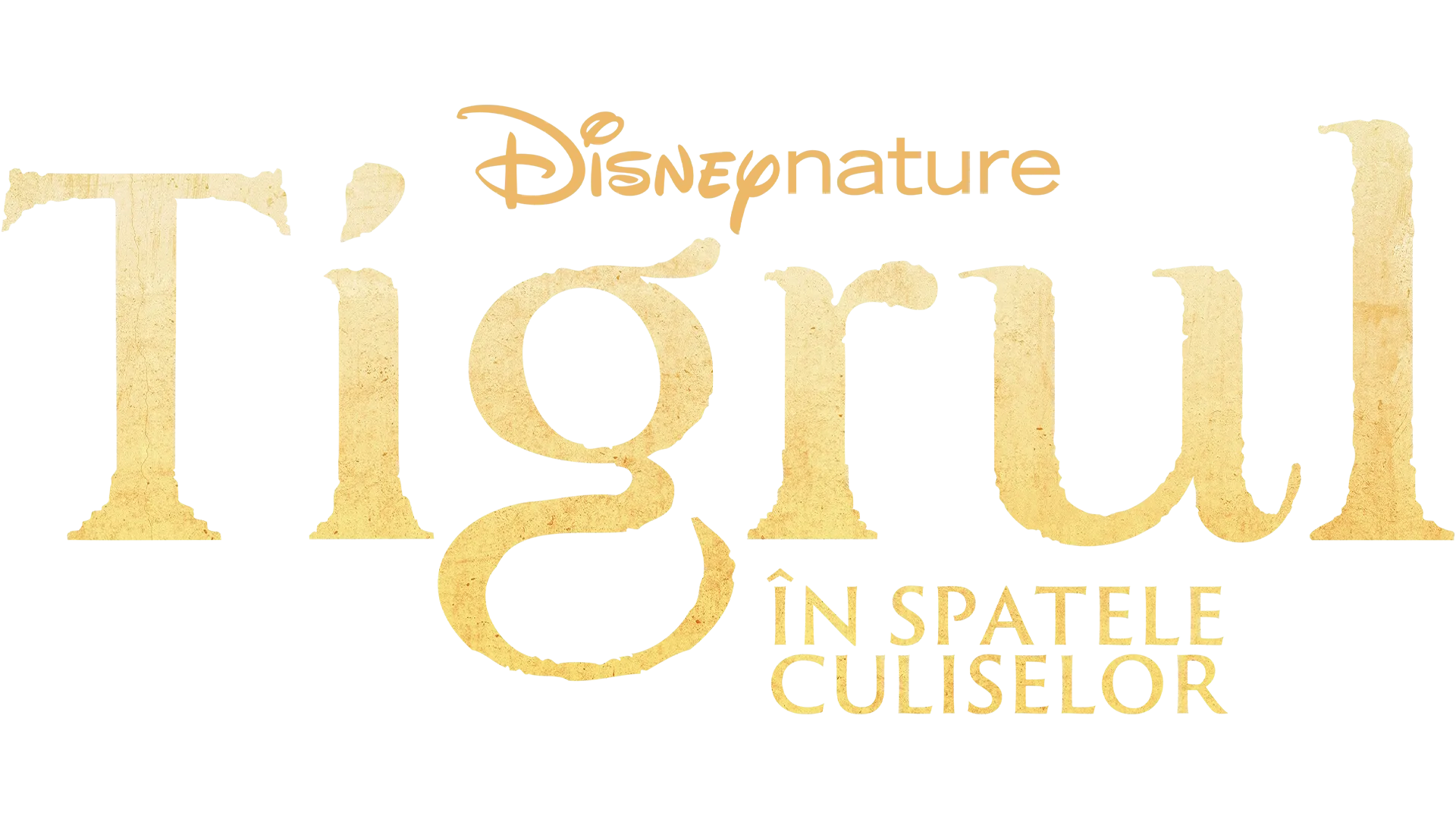 Tigrul: În spatele culiselor