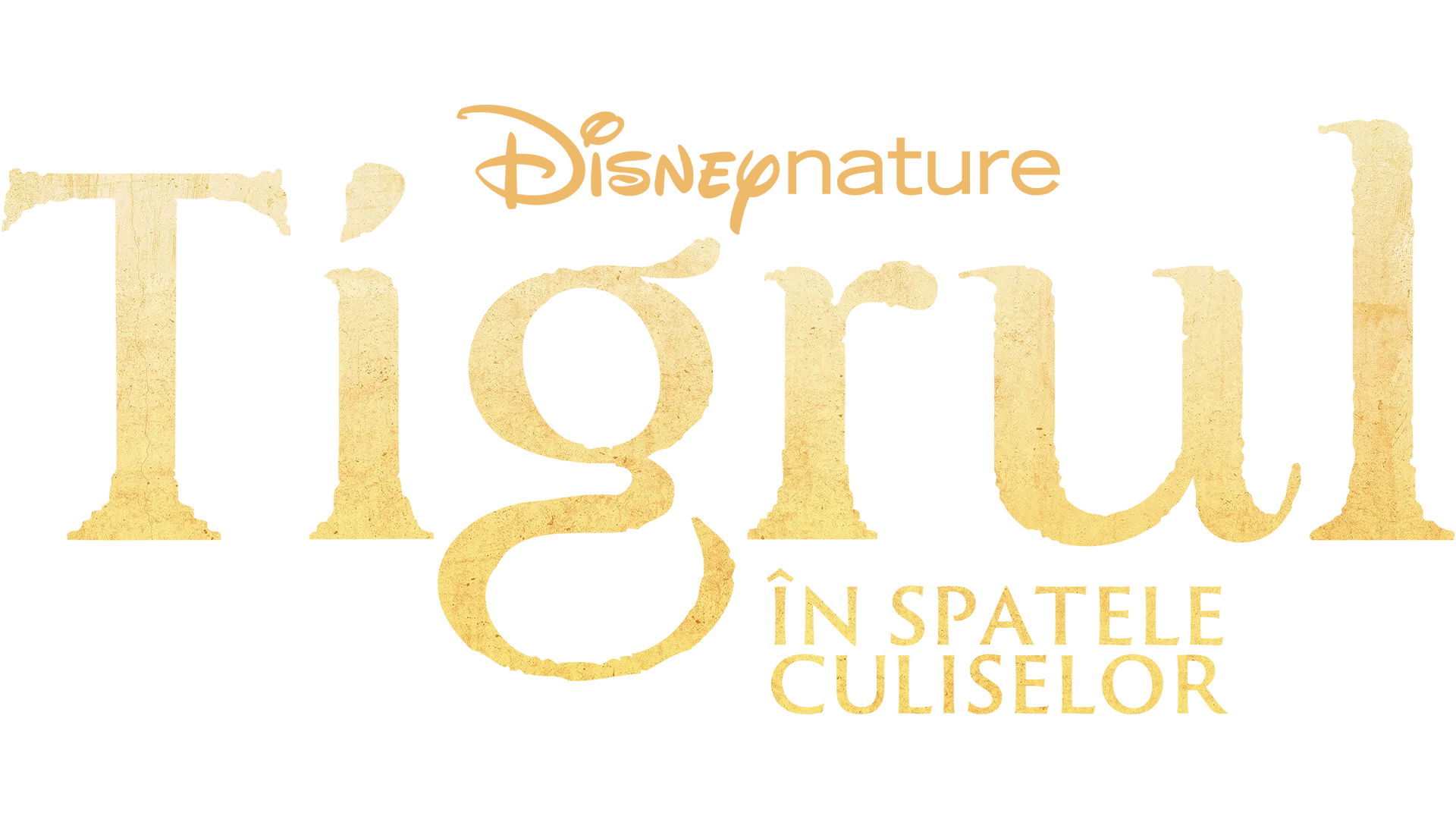 Tigrul: În spatele culiselor