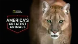 thumbnail - America's Greatest Animals