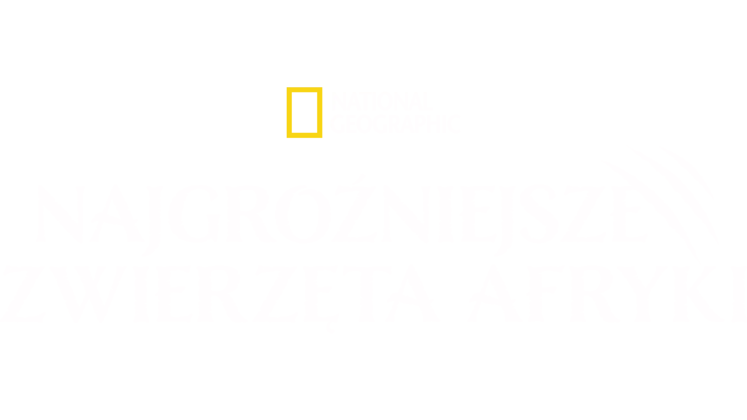 Najgroźniejsze zwierzęta Afryki