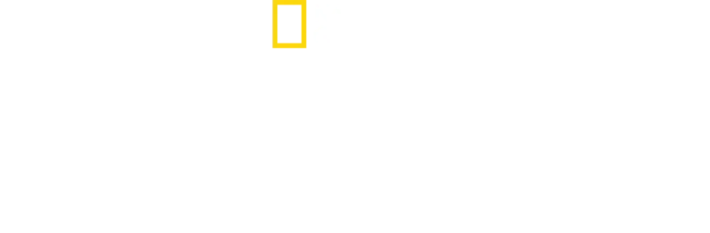 Najgroźniejsze zwierzęta Afryki