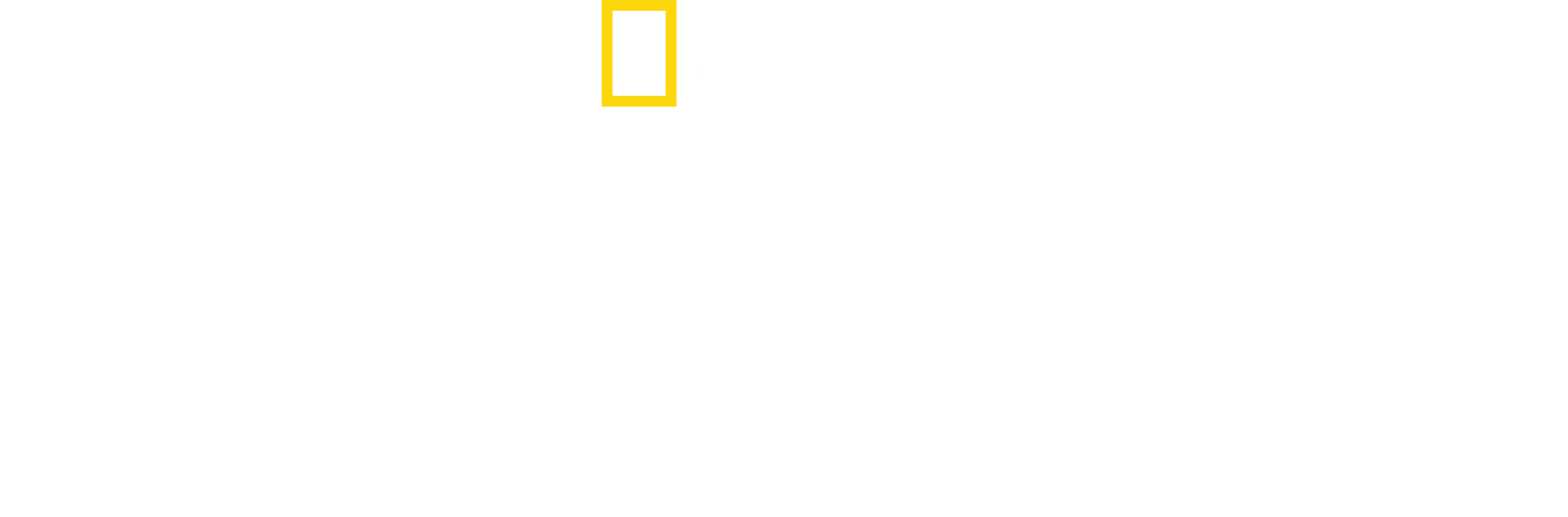 Najgroźniejsze zwierzęta Afryki