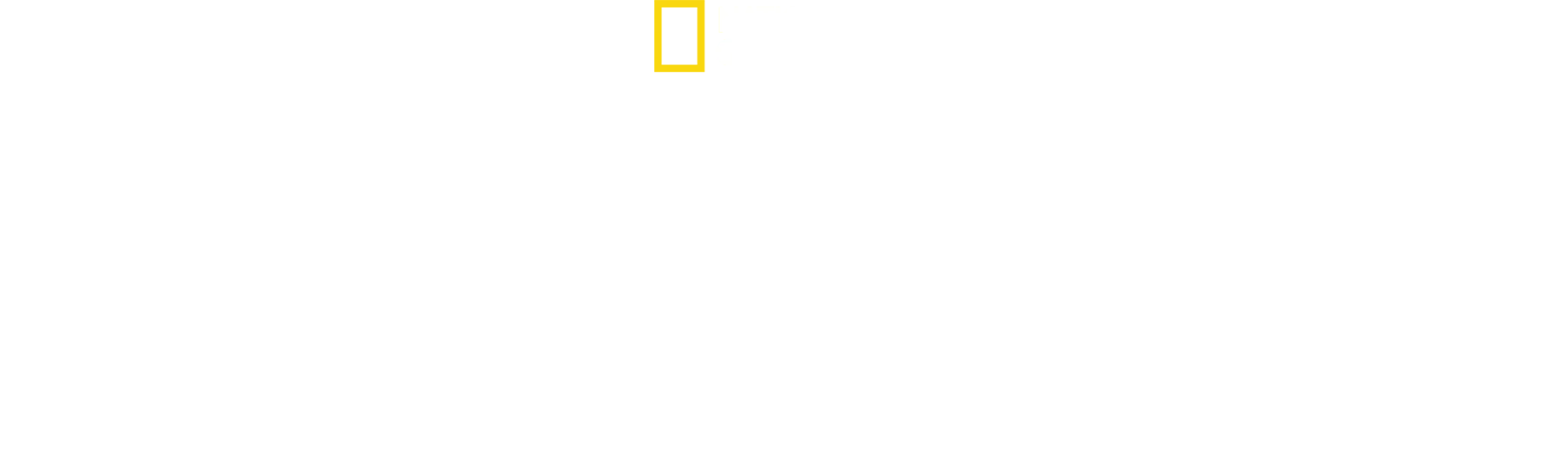 Un amour, deux panthères