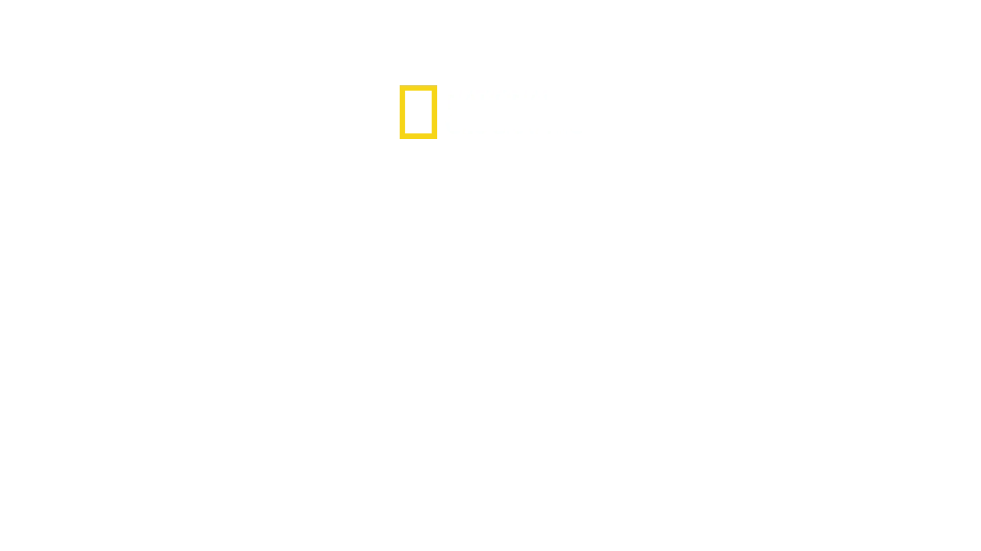 Shark Beach with Chris Hemsworth