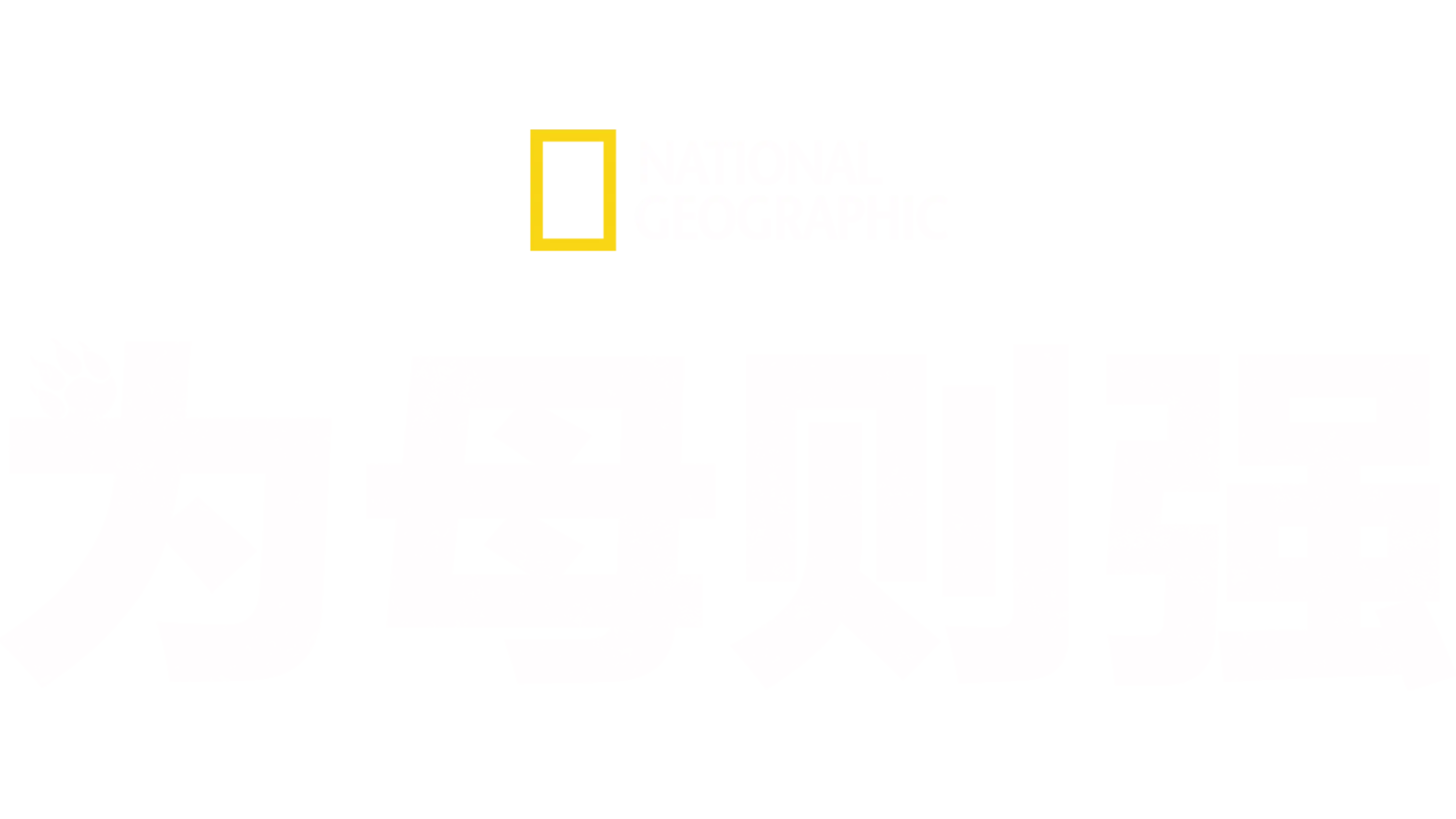 为母则强