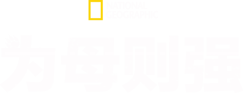 为母则强