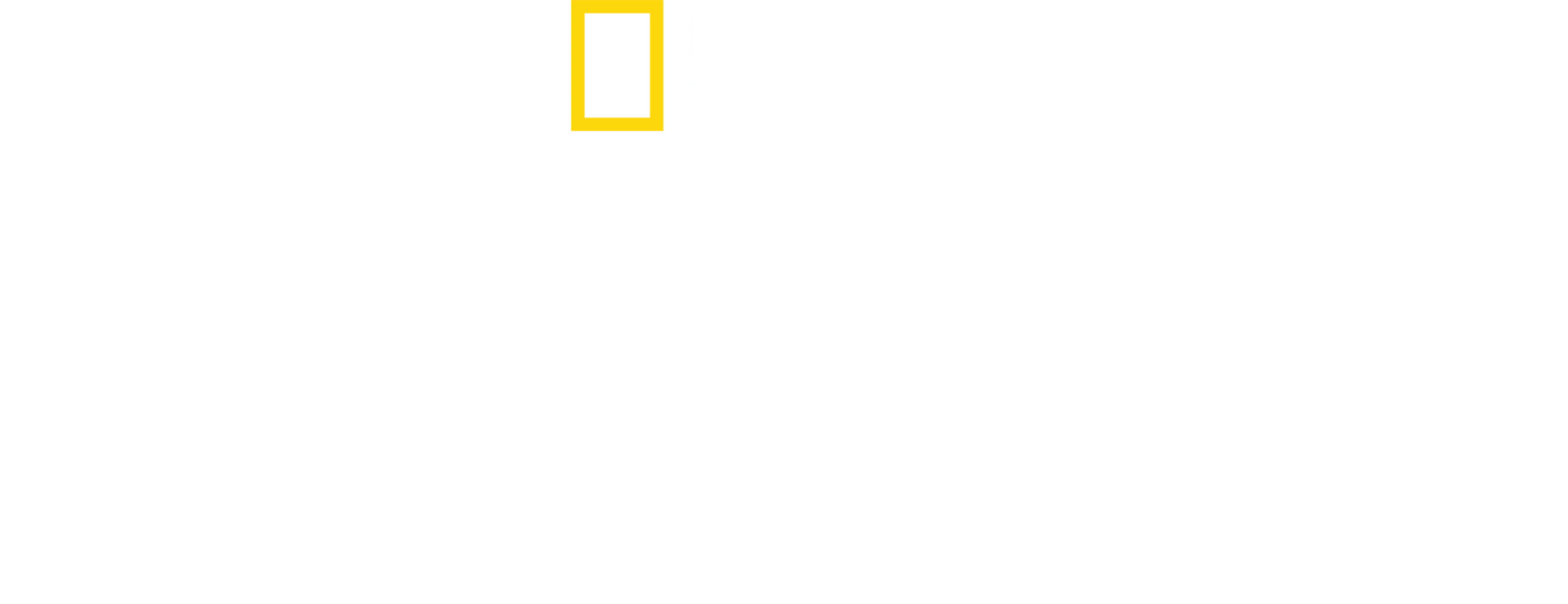 为母则强