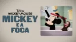 thumbnail - MICKEY E A FOCA