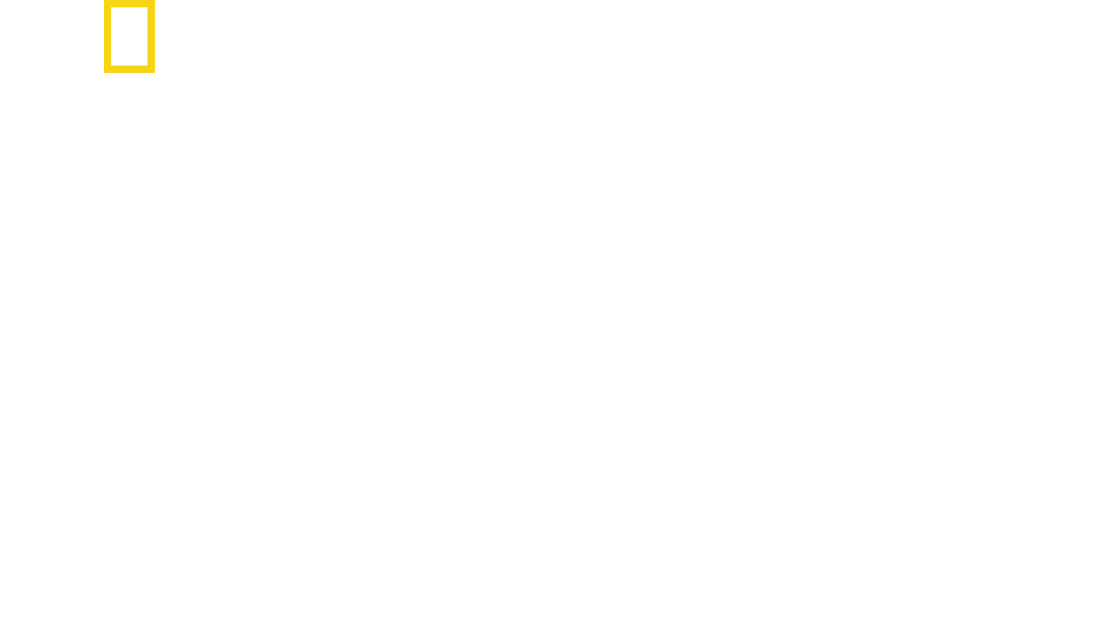 샤크 사이드 오브 더 문