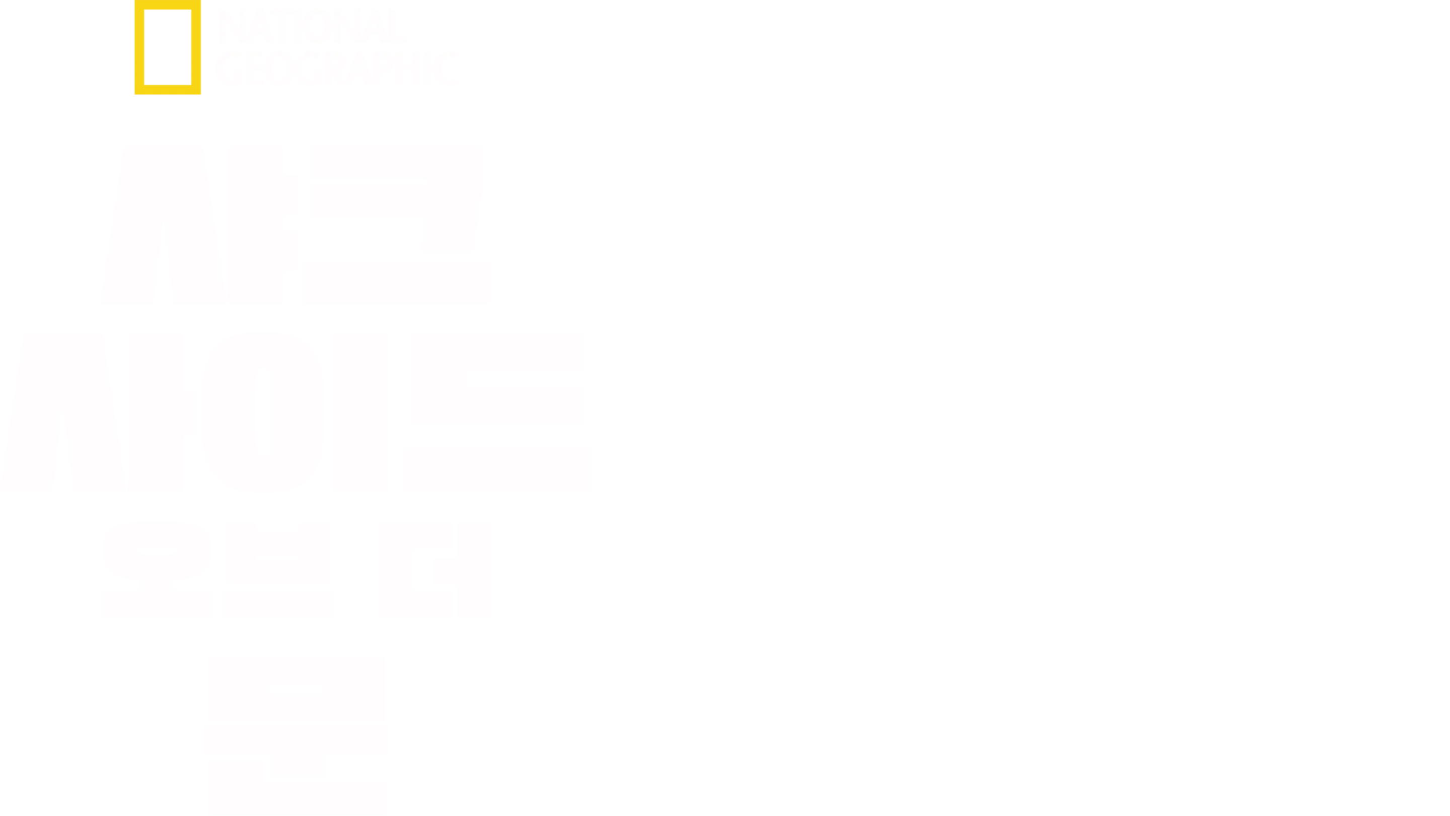 샤크 사이드 오브 더 문