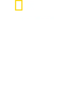 샤크 사이드 오브 더 문