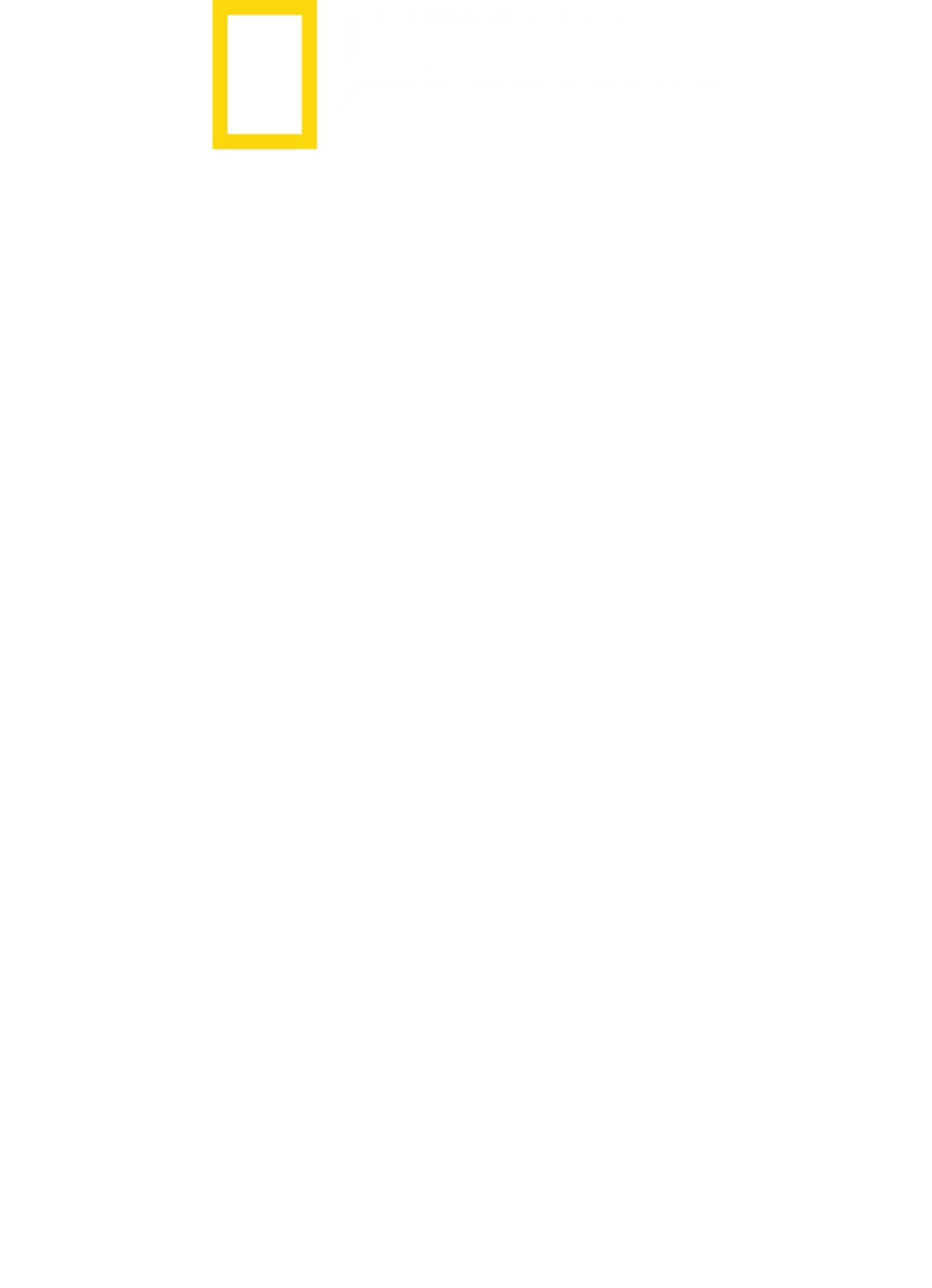 샤크 사이드 오브 더 문