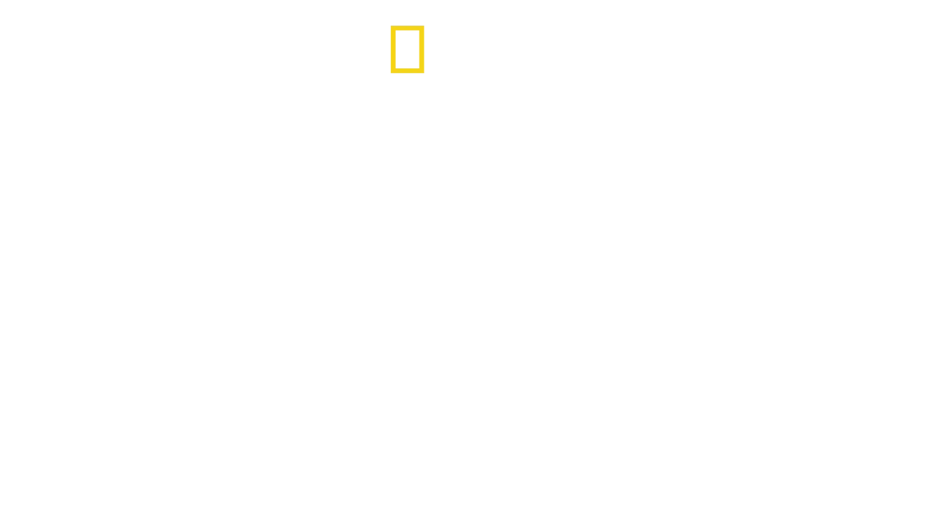 Das tödliche Reich der Schlangen