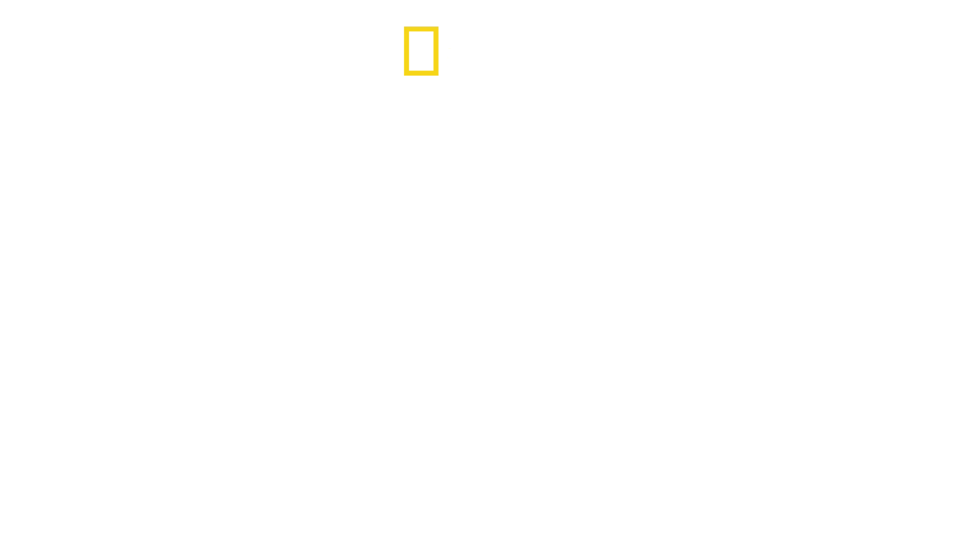 Das tödliche Reich der Schlangen