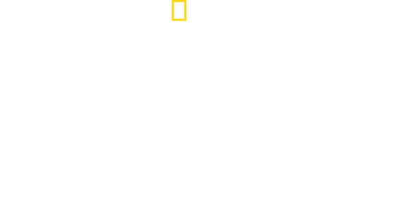 Das tödliche Reich der Schlangen