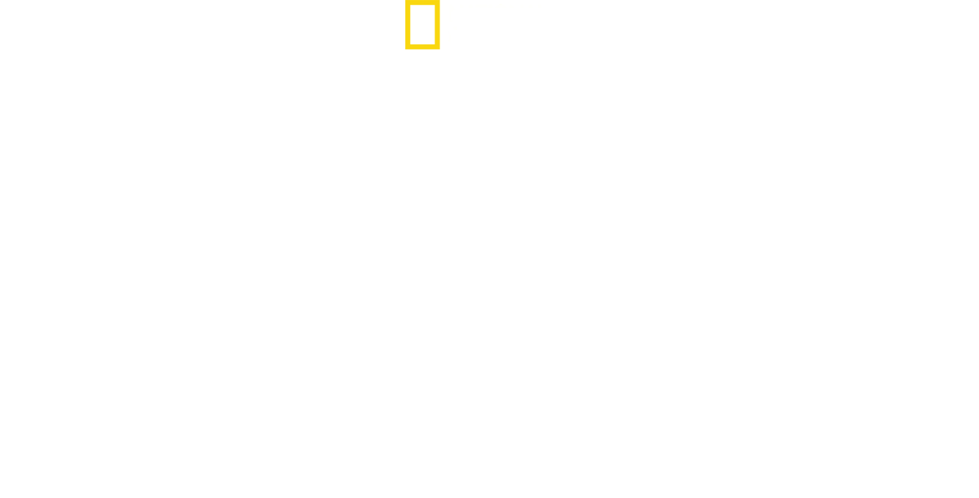Das tödliche Reich der Schlangen
