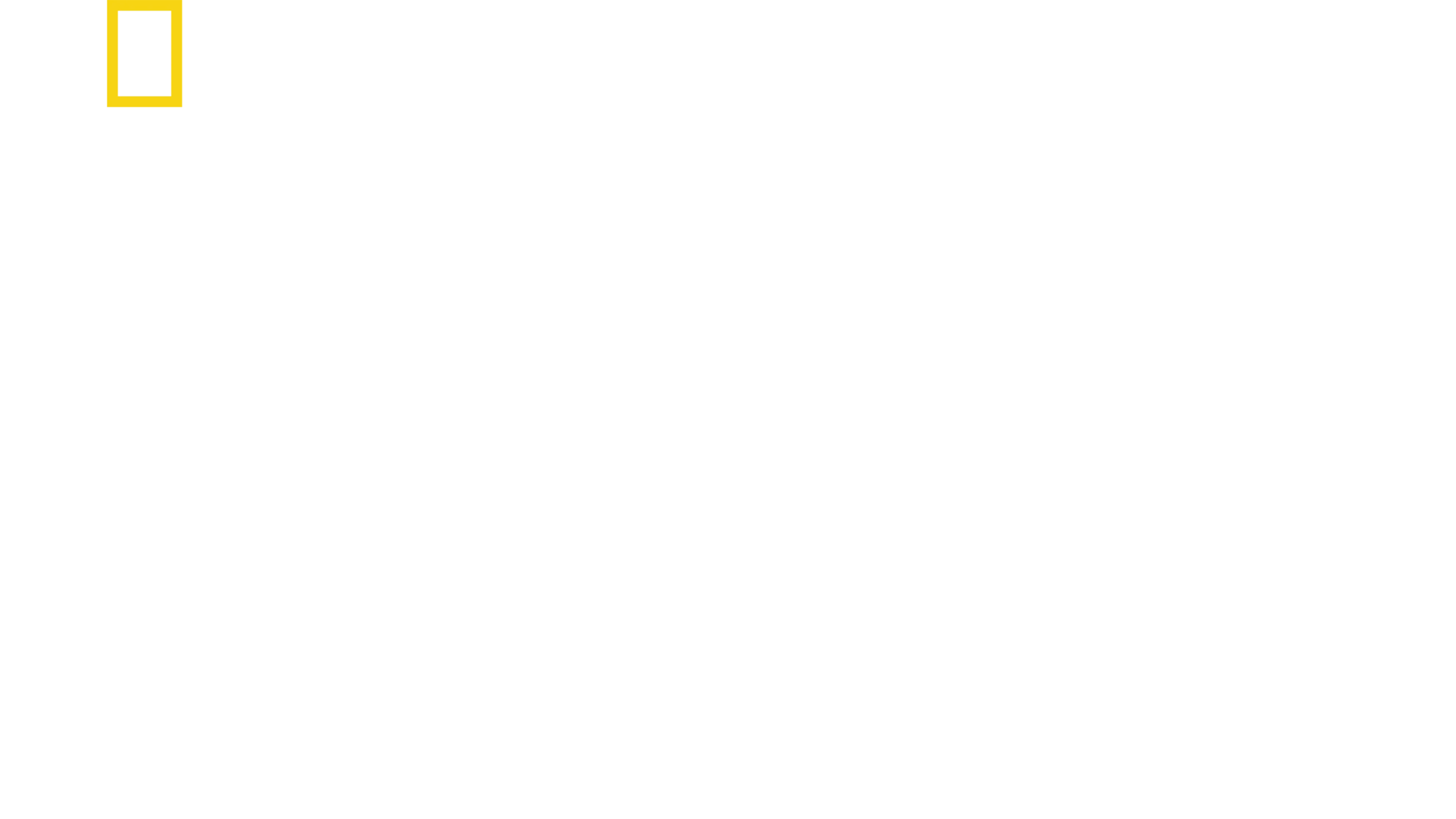 野生に生きる