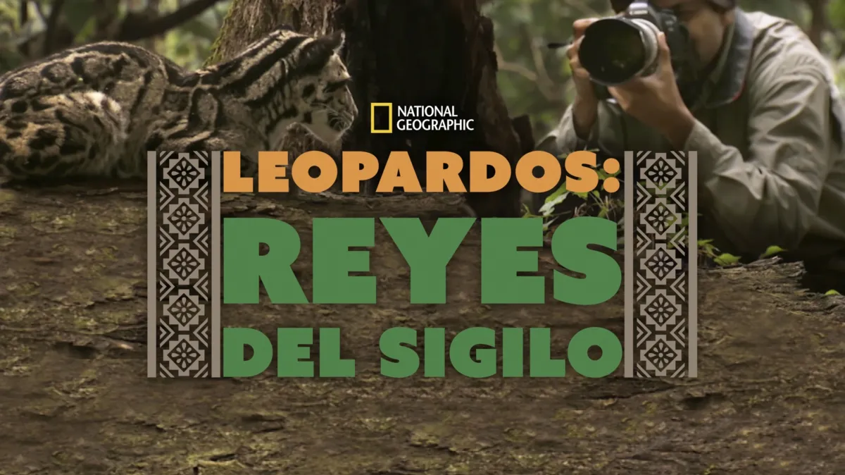 Ver Leopardos: Reyes del Sigilo | Disney+