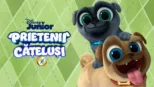 thumbnail - Prietenii Cățeluși