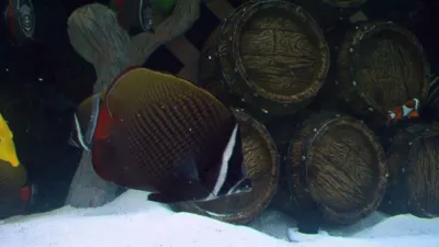 thumbnail - S4:E5 Spin the Bottles