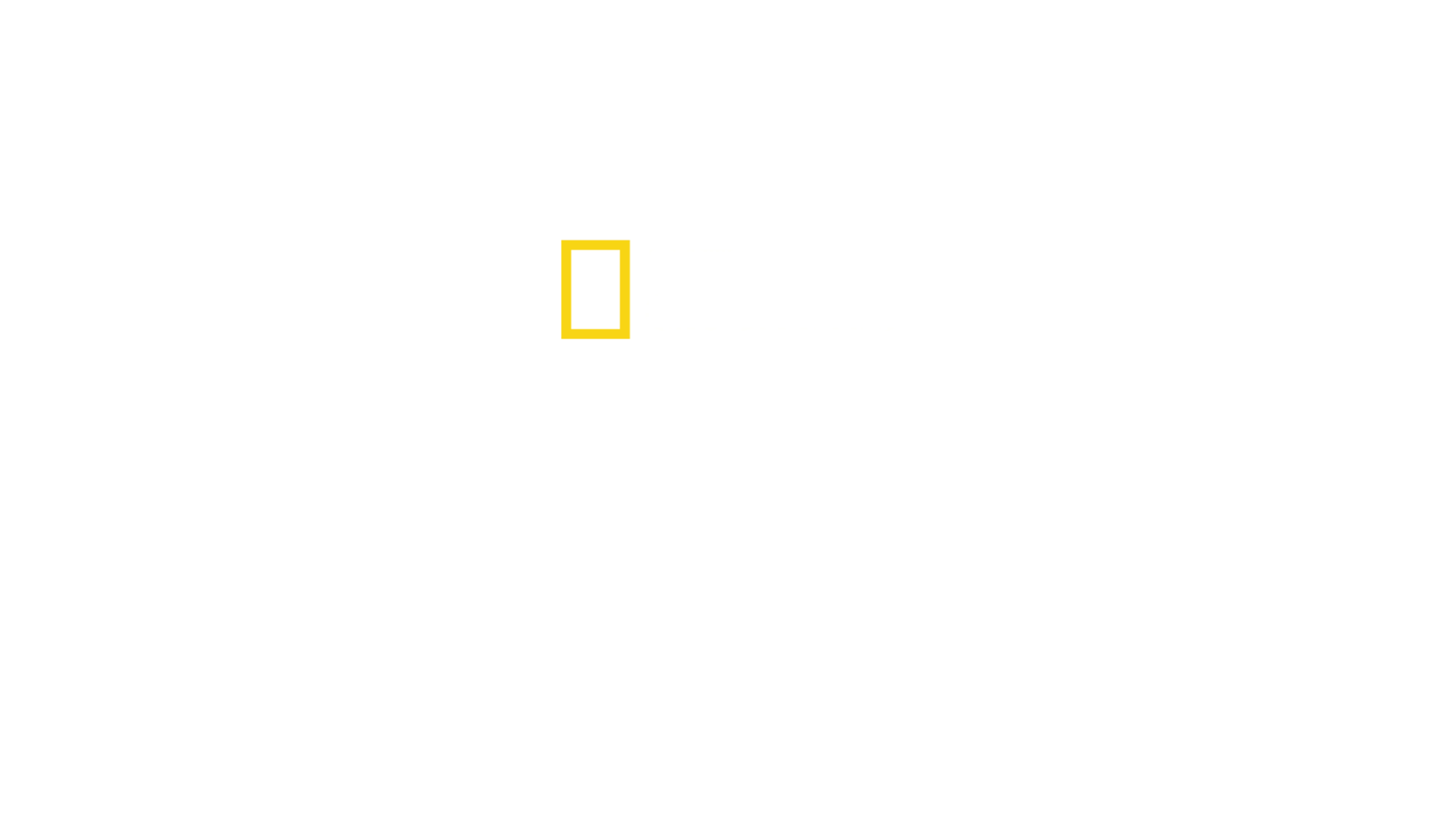 スーパーカー大改造