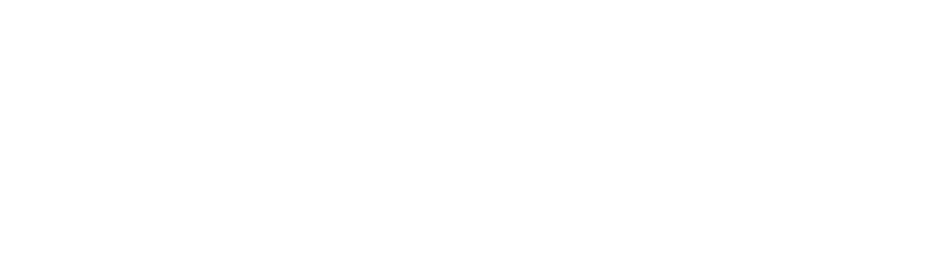 The Kid