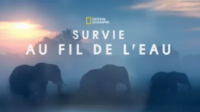 Survie au fil de l’eau