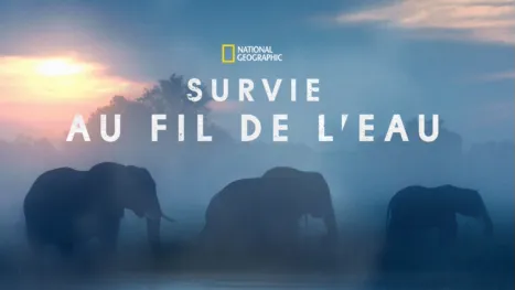 thumbnail - Survie au fil de l’eau