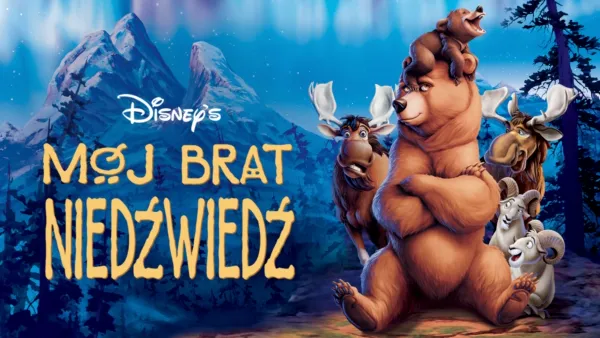 thumbnail - Mój brat niedźwiedź