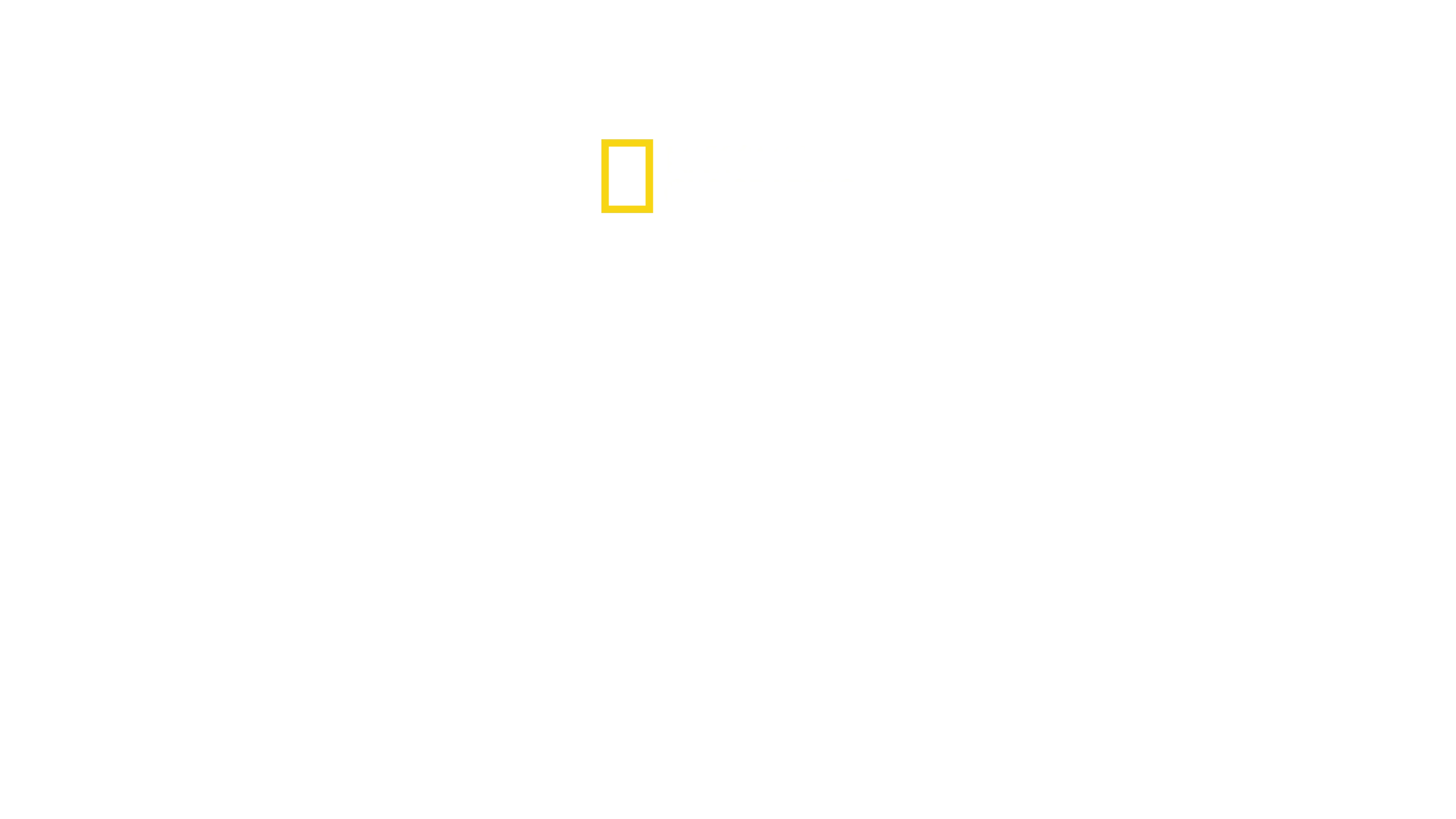Köpekbalığı Oyunları