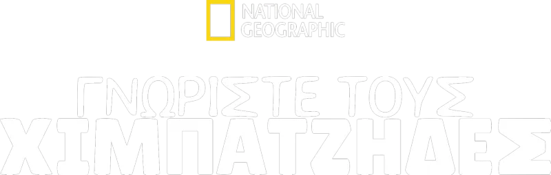 Γνωρίστε Τους Χιμπατζήδες