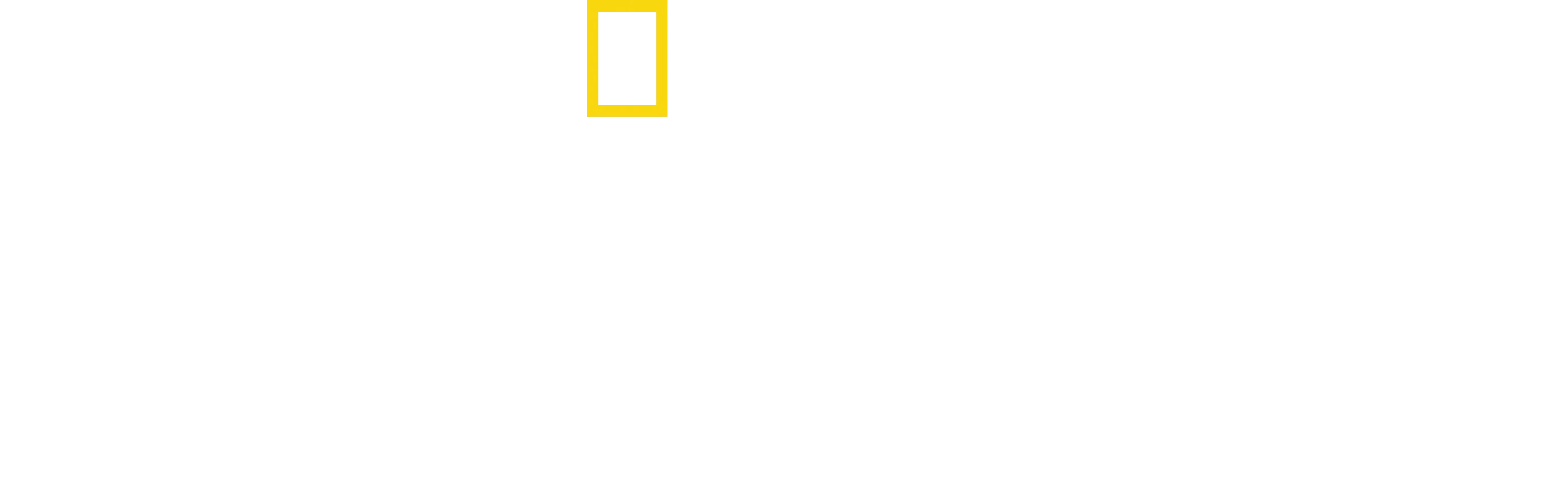 Γνωρίστε Τους Χιμπατζήδες
