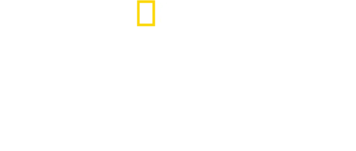 Άγριο Yellowstone