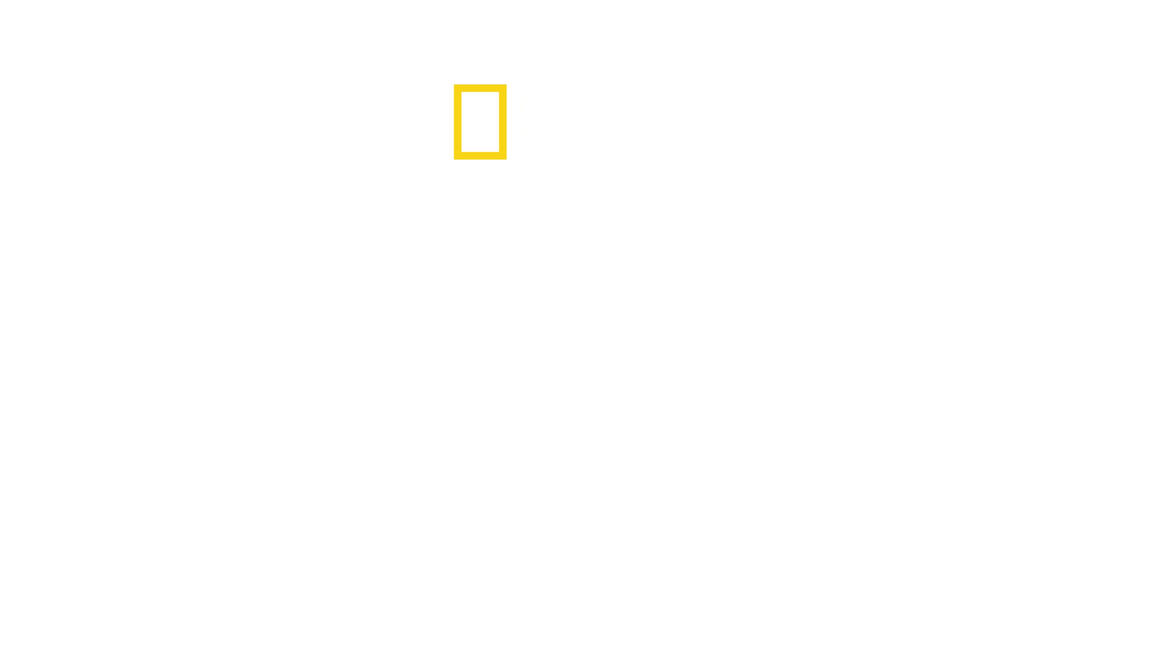 Império Selvagem