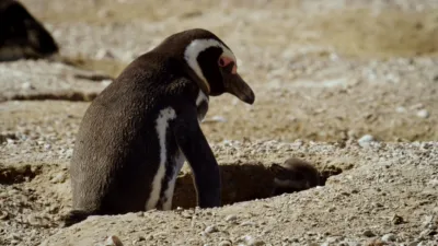 thumbnail - S6:E7 Cheating Death