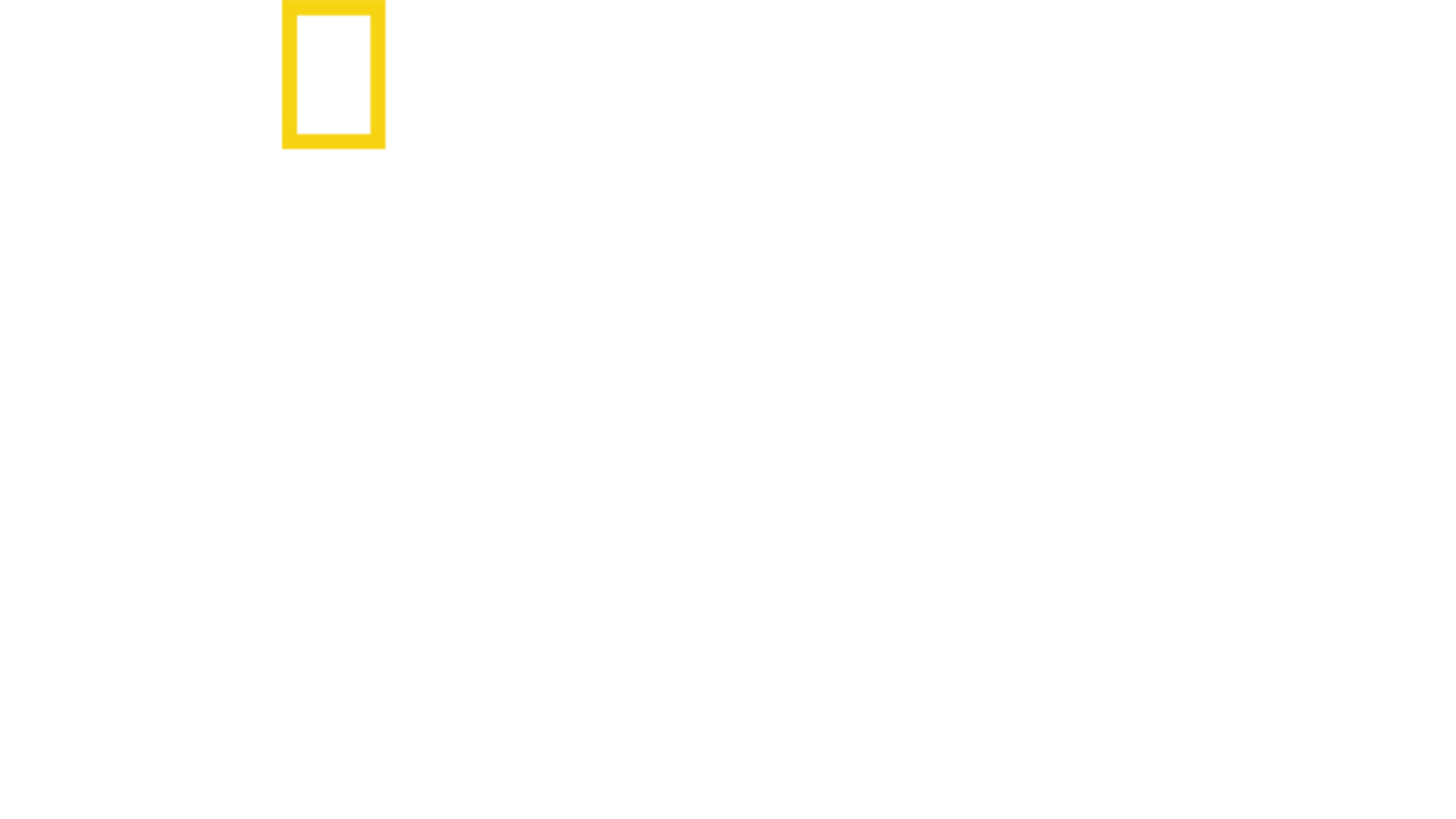 《乡村兽医拍档》