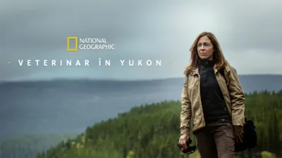 Veterinar în Yukon